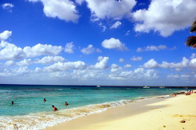 Catalina Island and Snorkeling - Full-day Trip - Pricing and Value Analysis