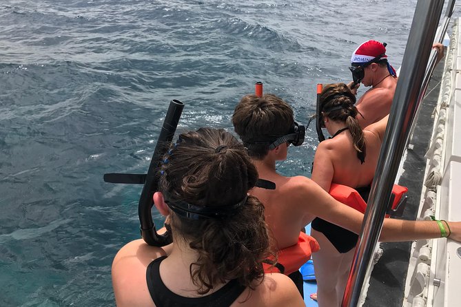 Catalina Island and Snorkeling Tour - Guest Reviews