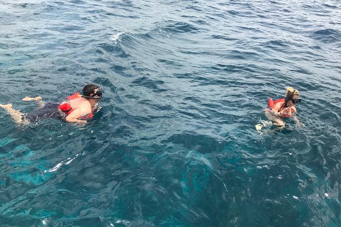 Catalina Island and Snorkeling Tour - Exploring Catalina Island