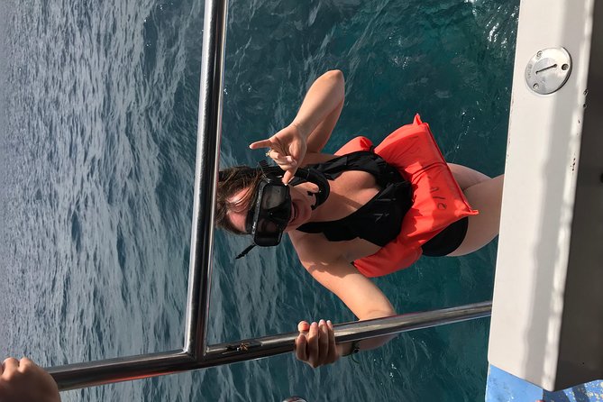 Catalina Island and Snorkeling Tour - Questions About Your Stay