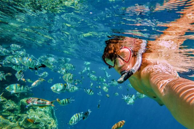 Catalina Island and Snorkeling Tour - Transportation and Departure
