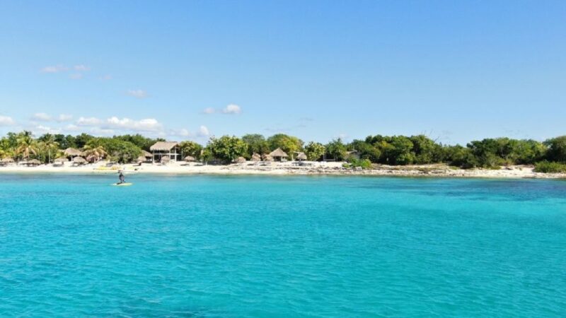 Catalina Island Beach and Snorkel From Punta Cana - Customer Reviews and Feedback