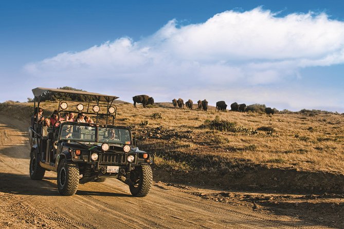 Catalina Island Bison Expedition - Key Points