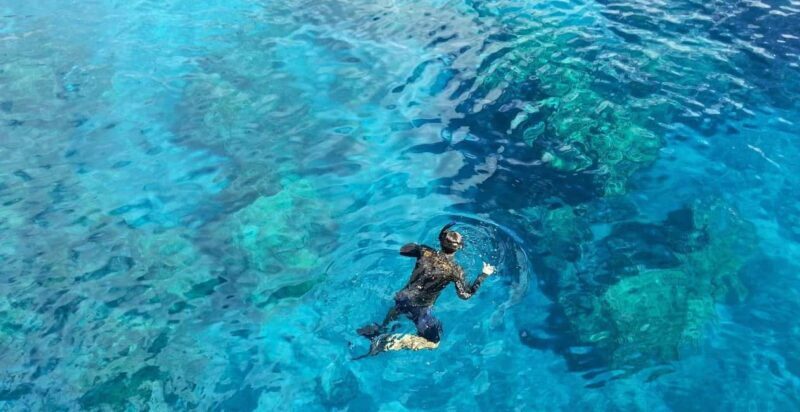 Catalina Island Catamaran Cruise with Lunch from Bayahibe - Key Points