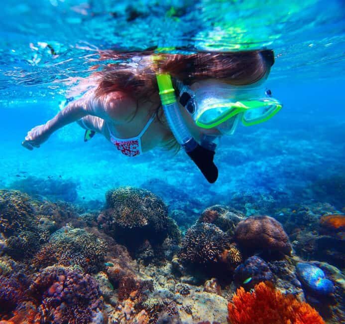 Catalina Island Catamaran Cruise with Lunch from Bayahibe - The Experience: What’s Truly Valuable?