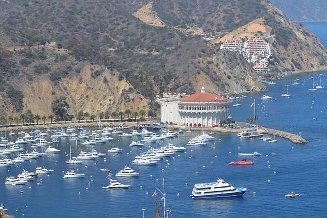 Catalina Island Day Trip From Anaheim Hotels With Discover Avalon Tour - Meeting and Pickup Details