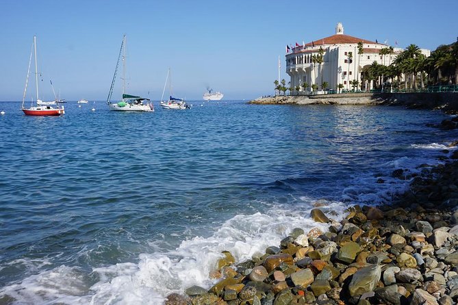 Catalina Island Day Trip From Anaheim Hotels With Discover Avalon Tour - Accessibility and Restrictions