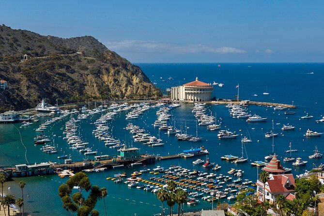 Catalina Island Day Trip From Anaheim Hotels With Discover Avalon Tour - Confirmation and Availability