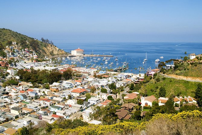 Catalina Island Day Trip From Anaheim Hotels With Discover Avalon Tour - Public Transportation Accessibility