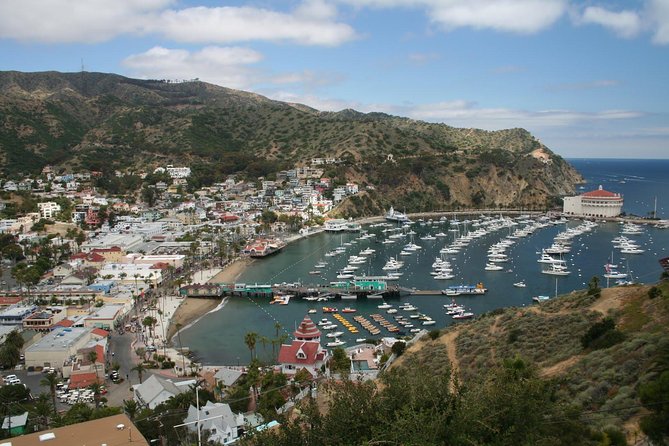 Catalina Island Day Trip From Anaheim Hotels With Discover Avalon Tour - Traveler Reviews Summary