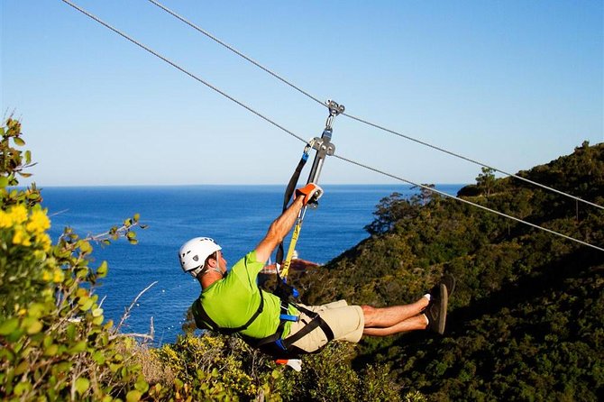Catalina Island Day Trip From Anaheim With Zipline Adventure - Key Points