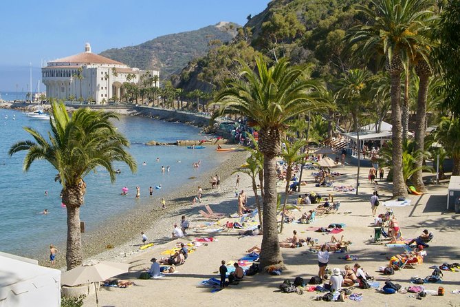 Catalina Island Day Trip From Anaheim With Zipline Adventure - Pickup and Meeting Details