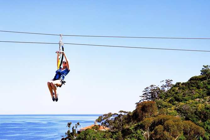 Catalina Island Day Trip From Anaheim With Zipline Adventure - Booking Restrictions and Considerations