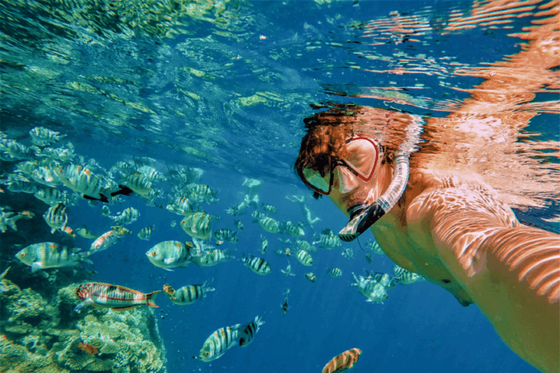 Catalina Island DayTrip + Great Snorkeling - Activities and Experience