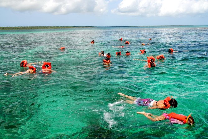 Catalina Island DayTrip + Great Snorkeling - Dining and Refreshments