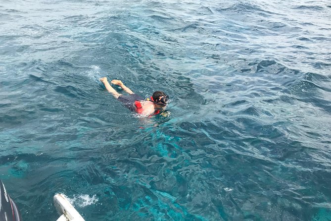 Catalina Island DayTrip + Great Snorkeling - Traveler Reviews and Highlights