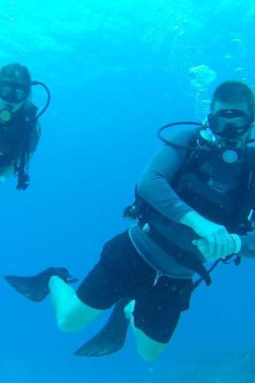Catalina Island: Dive Adventure - Itinerary and Adventure Highlights