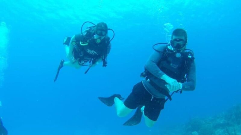 Catalina Island: Dive Adventure - Included Services and Amenities