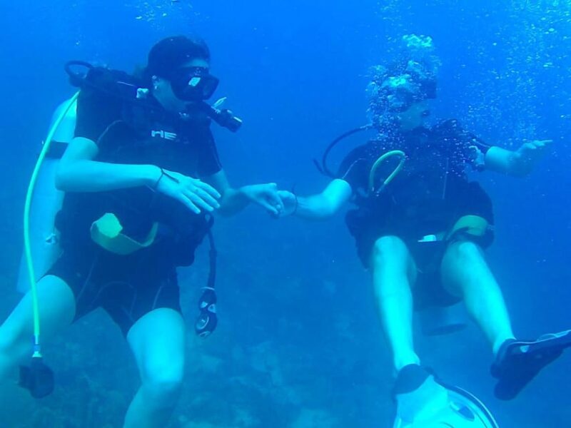 Catalina Island: Dive Adventure - Health and Safety Requirements
