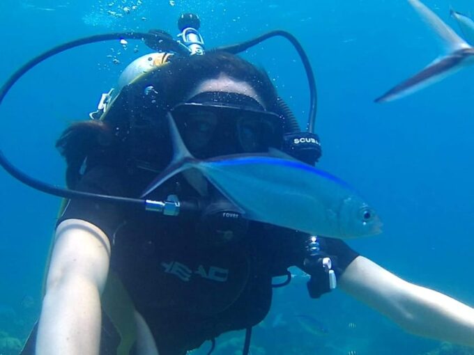 Catalina Island: Dive Adventure - Pickup and Drop-off Locations