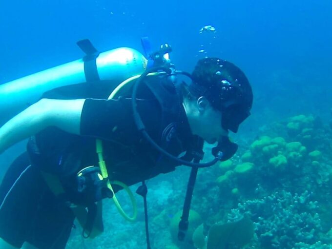 Catalina Island: Dive Adventure - Exploring Catalina Islands Marine Life