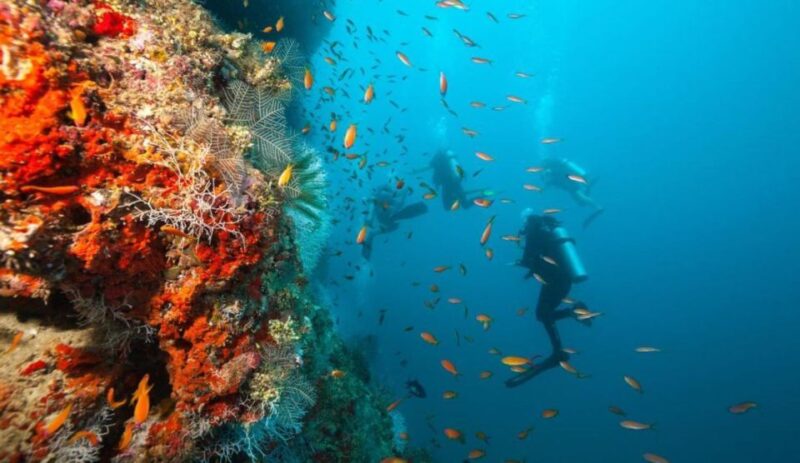Catalina Island Diving From Punta Cana - Location and Diving Spots