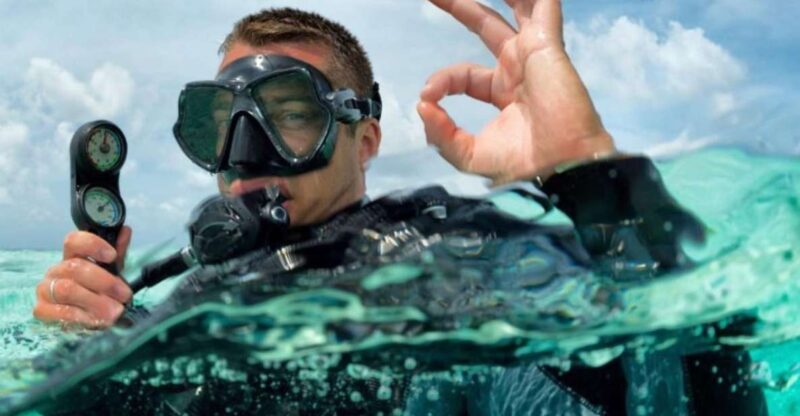 Catalina Island Diving From Punta Cana - Experience and Highlights