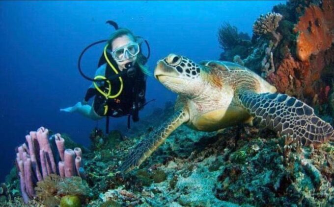 Catalina Island Diving From Punta Cana - Frequently Asked Questions