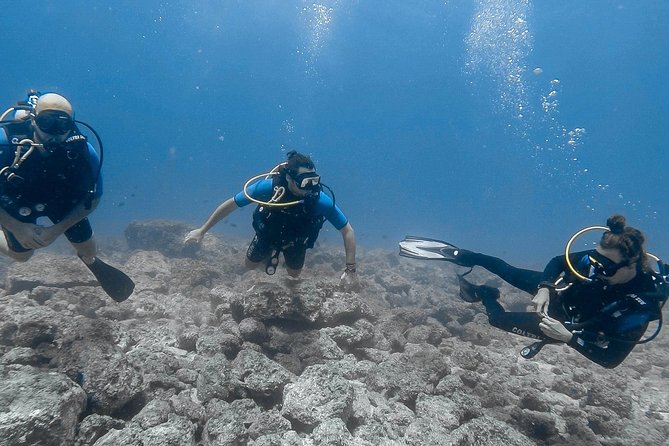 Catalina Island Diving Tour From Tamarindo - Certified Only - Two Dive Locations
