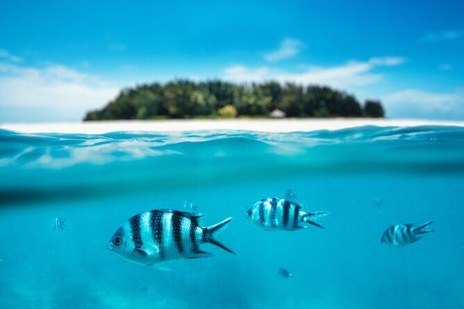 Catalina Island Even more unspoilt than Saona - Key Points