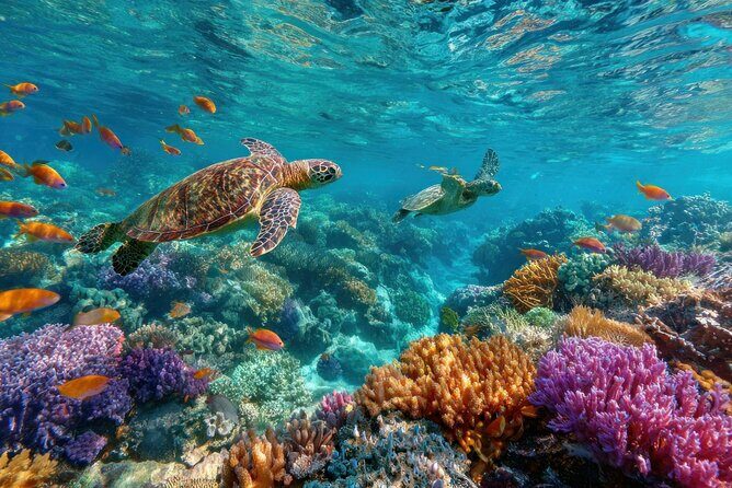 Catalina Island Even more unspoilt than Saona - A Full Breakdown of the Experience