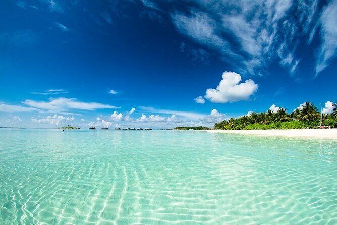 Catalina Island Even more unspoilt than Saona - The Sum Up: Who Will Love This Tour?