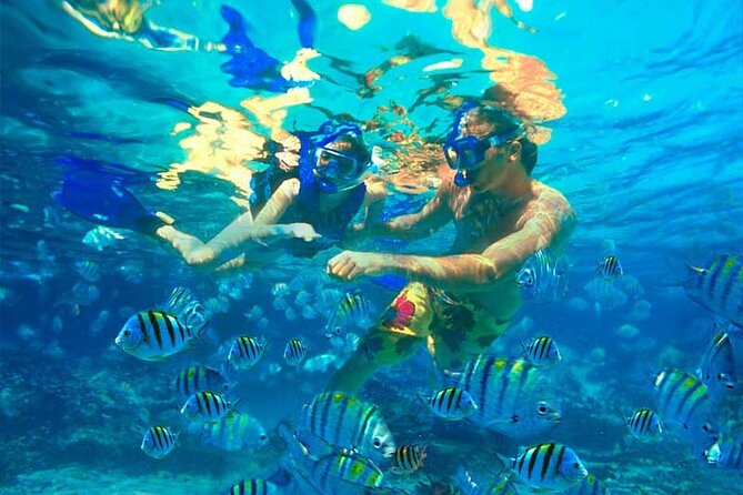 Catalina Island From the Roman Special for Cruises - Professional Guide Insights