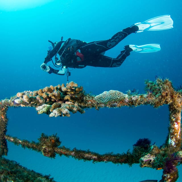 Catalina Island Full-Day Diving Tour + Lunch From Punta Cana - Buffet Lunch and Open Bar