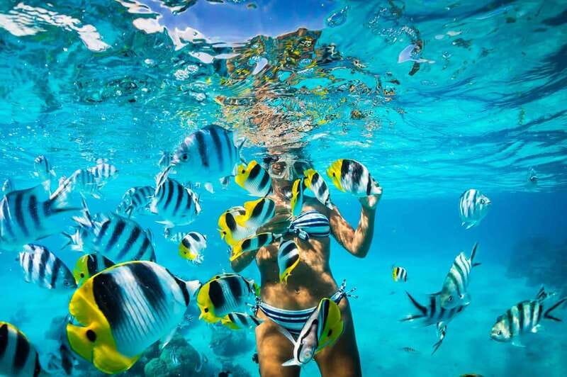 Catalina Island Full-Day Snorkeling + Lunch From Punta Cana - Snorkeling and Beach Time