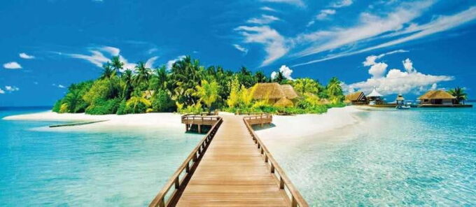Catalina Island Full-Day Snorkeling + Lunch From Punta Cana - Customer Feedback and Ratings