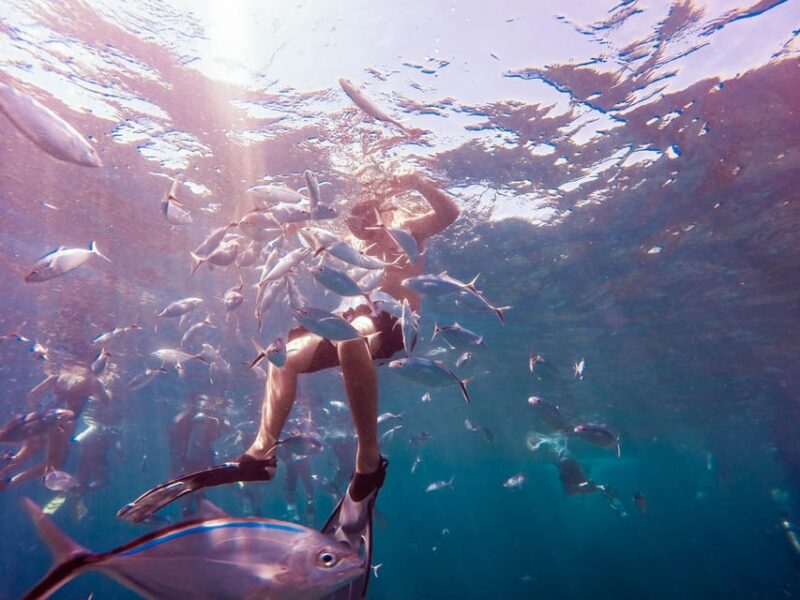 Catalina Island Full-Day Snorkeling + Lunch From Punta Cana - Pickup Locations and Transportation