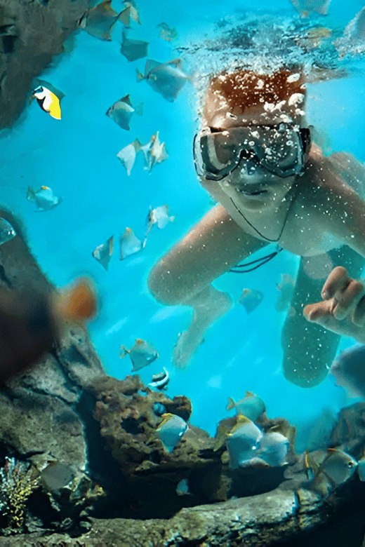 Catalina Island Full-Day Snorkeling + Lunch From Punta Cana - Buffet Lunch and Open Bar
