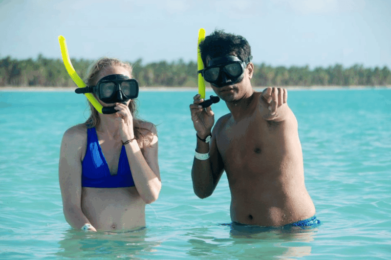 Catalina Island Full-Day Snorkeling Tour Expedition - Experience Highlights