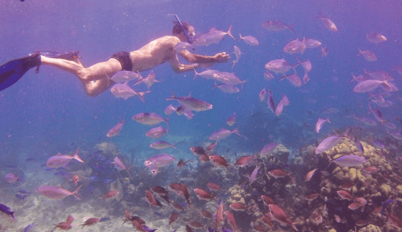 Catalina Island Full-Day Snorkeling Tour Expedition - Itinerary Details