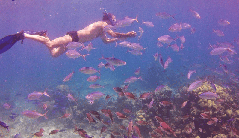 Catalina Island Full-Day Snorkeling Tour Expedition - Barbecue Lunch on the Beach