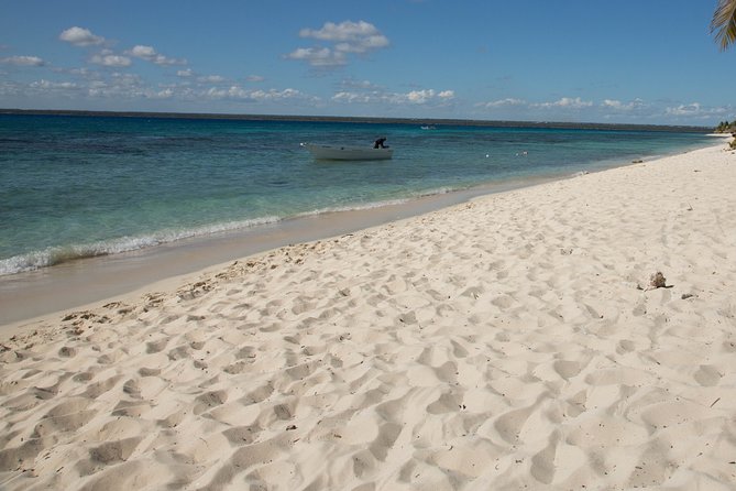Catalina Island Private Boat Tour - Guest Reviews
