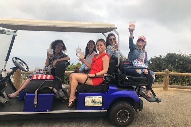 Catalina Island Private Guided Golf Cart Tour of Avalon - Key Points