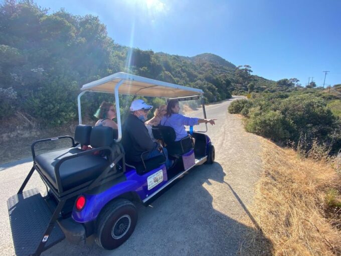 Catalina Island: Private Guided Golf Cart Tour of Avalon - Exploring Avalon With a Local Guide