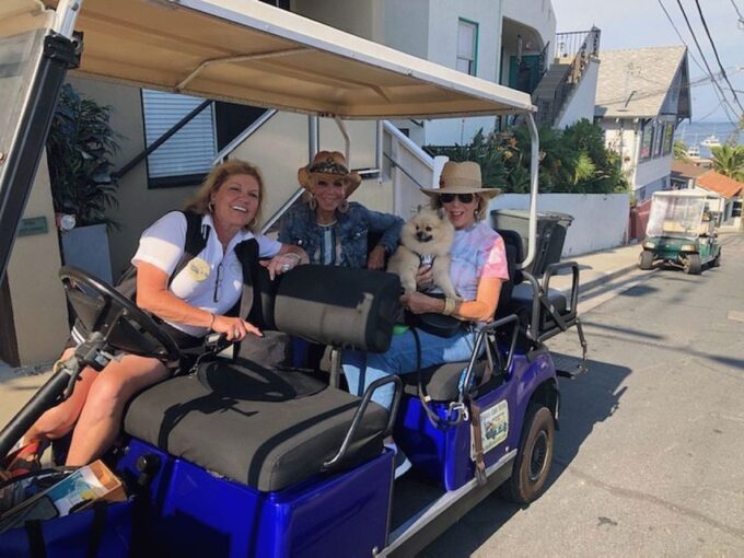 Catalina Island: Private Guided Golf Cart Tour of Avalon - Frequently Asked Questions