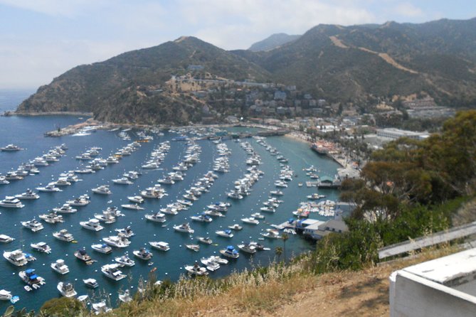 Catalina Island Scavenger Hunt Adventure - Customer Feedback and Recommendations