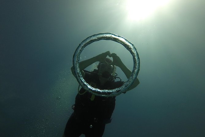 Catalina Island Scuba Diving - Amazing Full Day Tour! - Booking and Cancellation