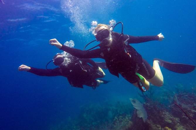 Catalina Island Scuba Diving - Amazing Full Day Tour! - Guest Reviews and Feedback