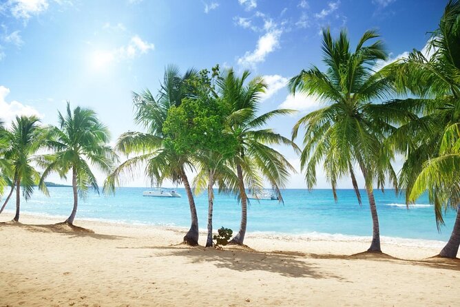 Catalina Island Scuba Diving and Snorkeling Tour From Punta Cana - About Your Stay