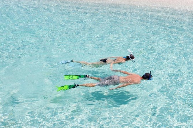 Catalina Island Scuba Diving and Snorkeling Tour From Punta Cana - Inclusions